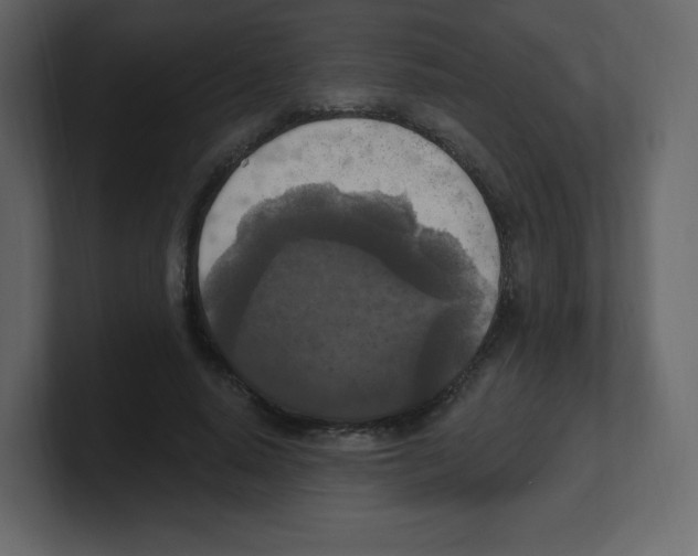 X0000100500640200807111144