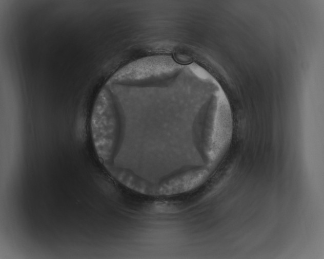 X0000100500641200807111144