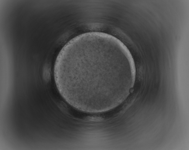 X0000100500644200807111144