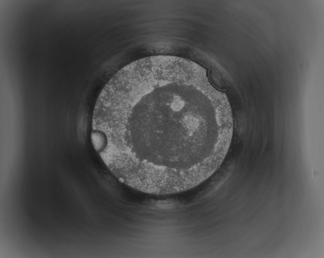 X0000100500645200807111144