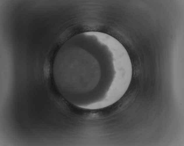 X0000100500647200807111144