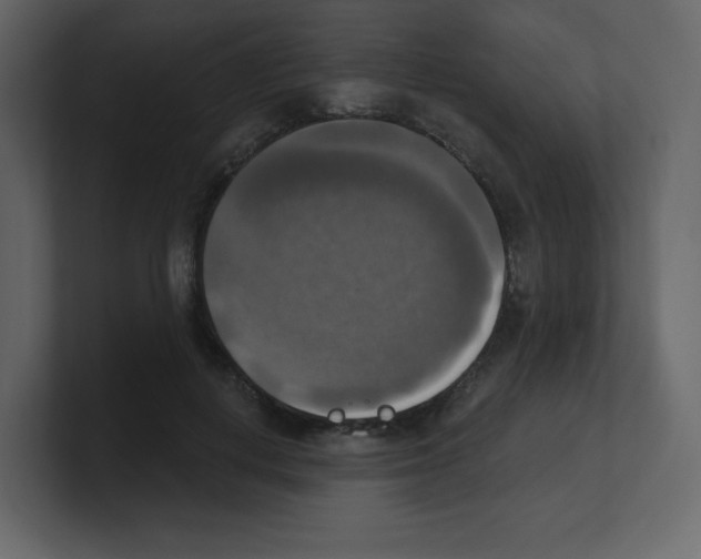 X0000100500648200807111144