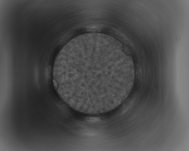 X0000100500649200807111144