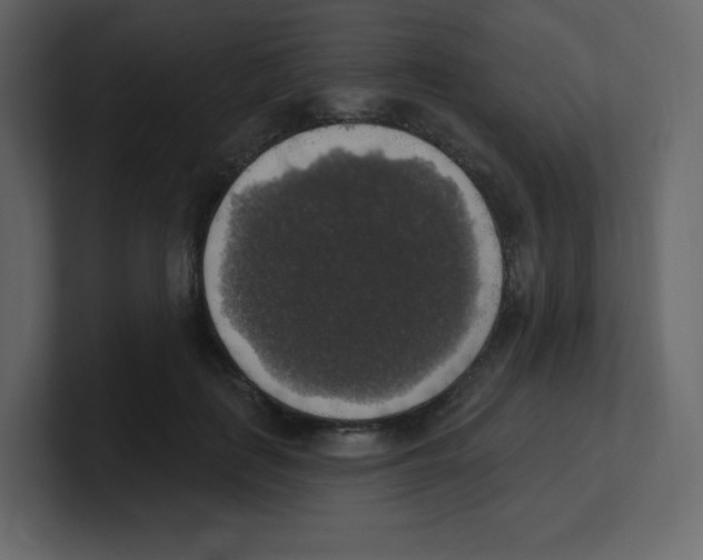 X0000100500651200807111144