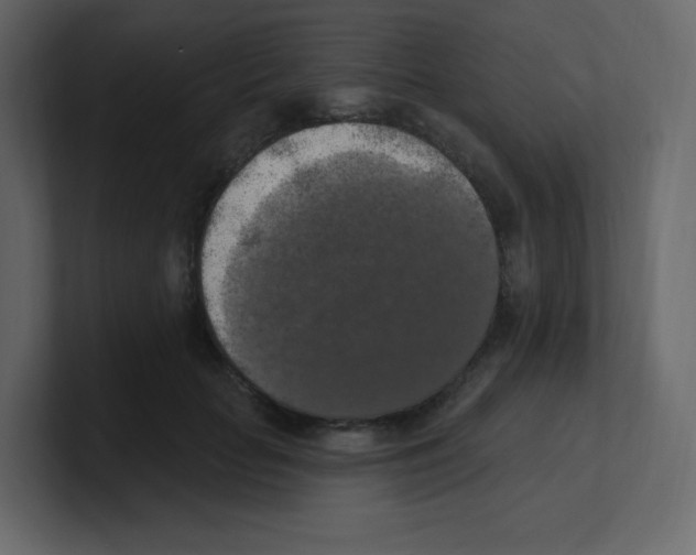 X0000100500653200807111144