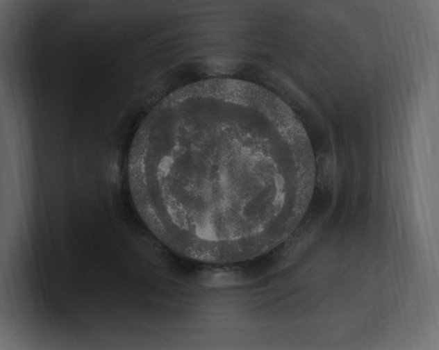 X0000100500655200807111144