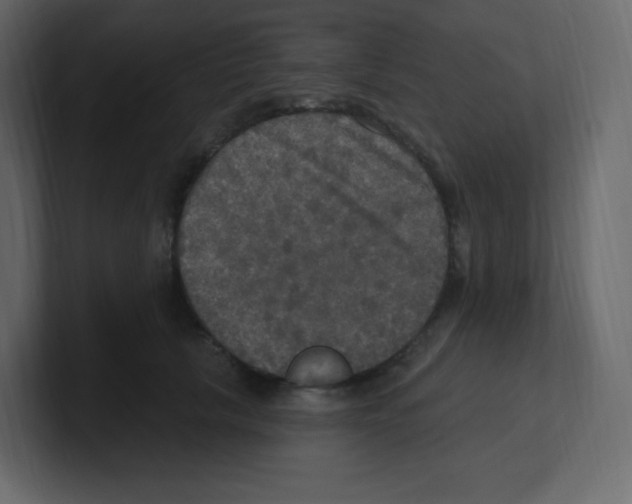 X0000100500657200807111144