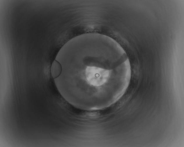 X0000100500659200807111144