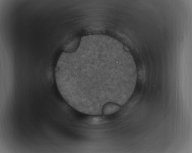 X0000100500662200807111144