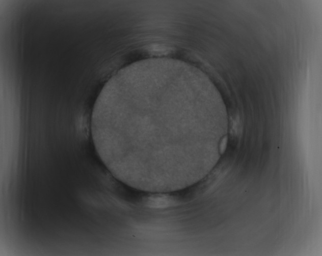 X0000100500666200807111144