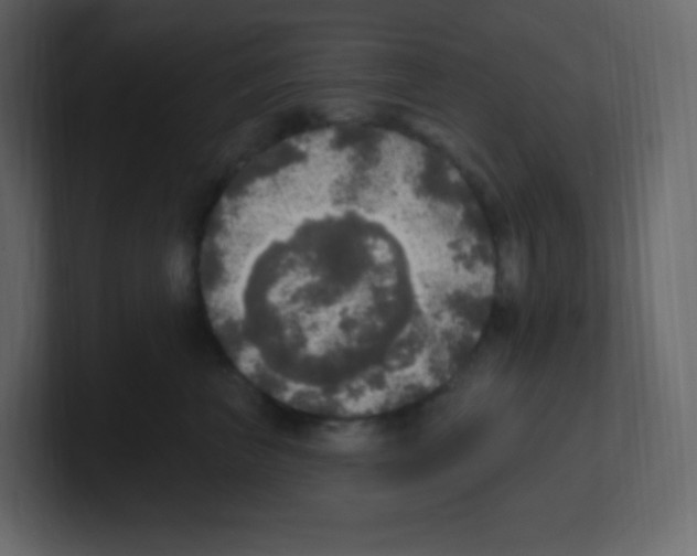 X0000100500667200807111144