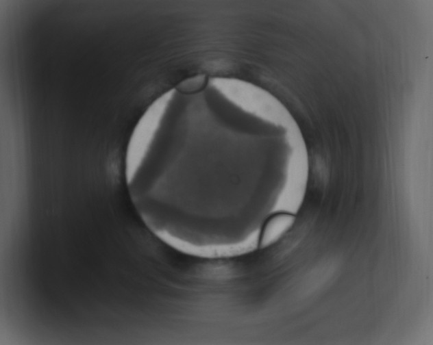 X0000100500668200807111144