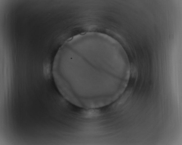 X0000100500670200807111144