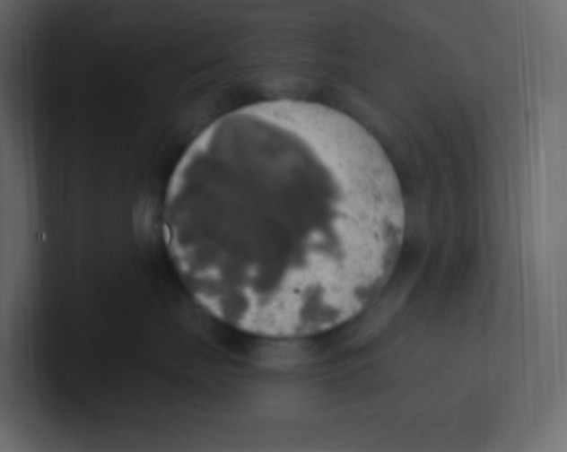 X0000100500671200807111144