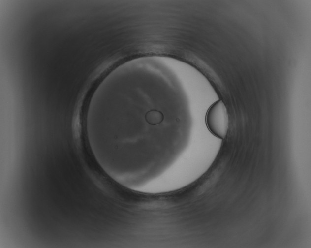 X0000100500674200807111143