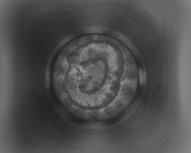 X0000100500675200807111143