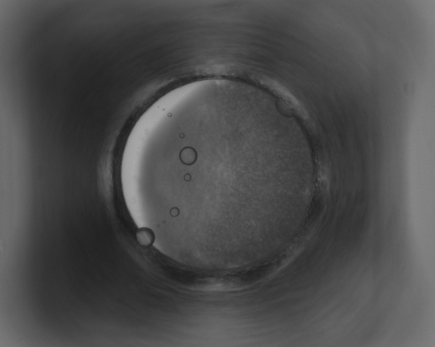 X0000100500678200807111143