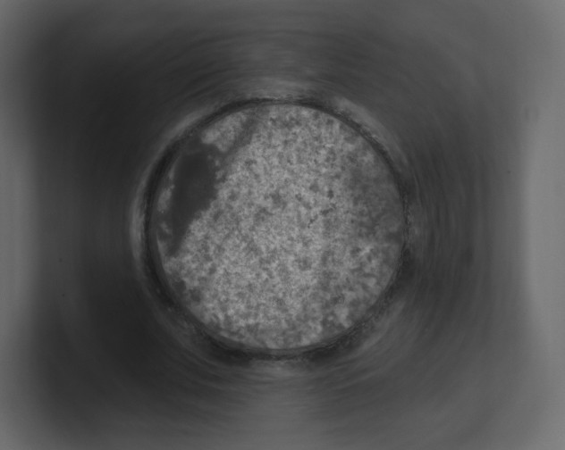 X0000100500679200807111143