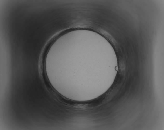 X0000100500680200807111143