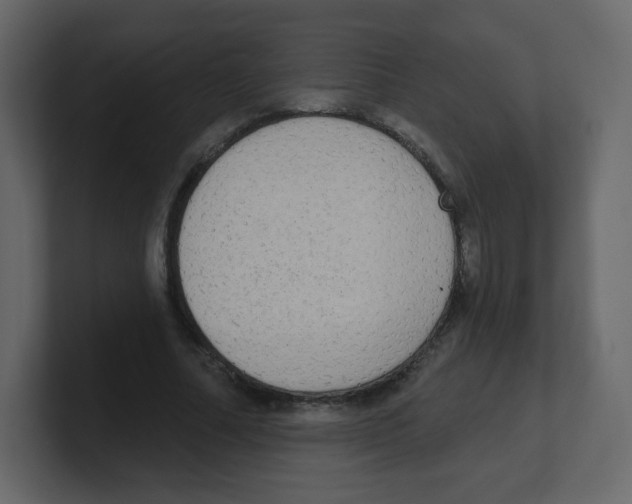 X0000100500682200807111143