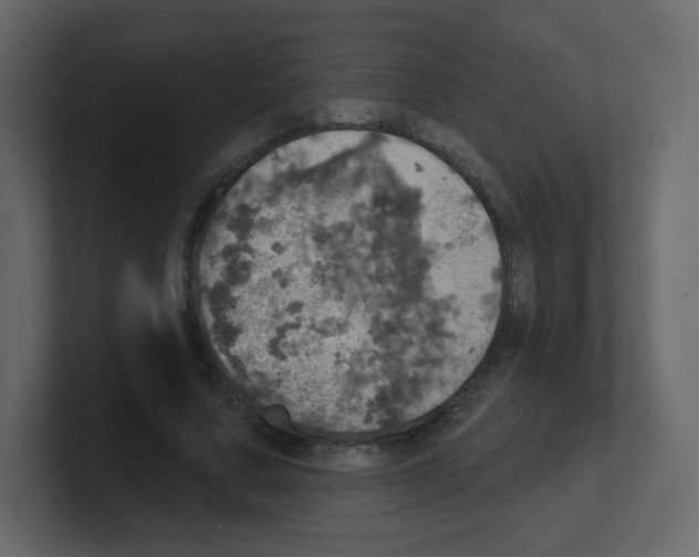 X0000100500683200807111143