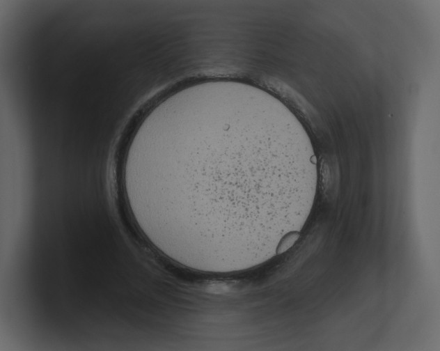 X0000100500684200807111143