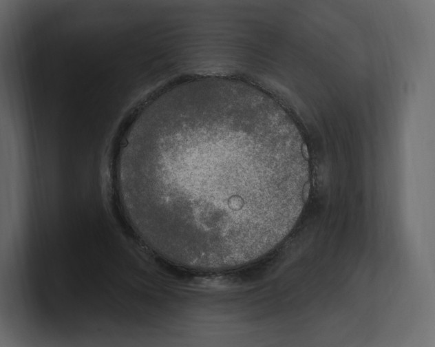 X0000100500688200807111143