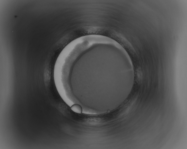 X0000100500691200807111143