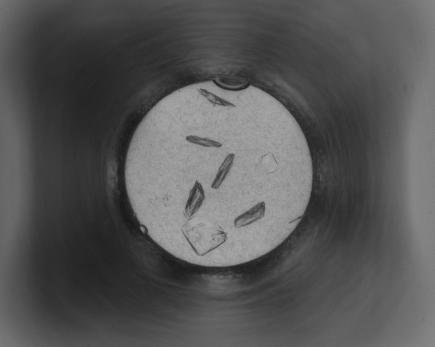 X0000100500693200807111143