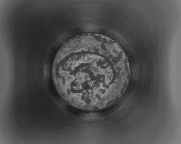 X0000100500695200807111143