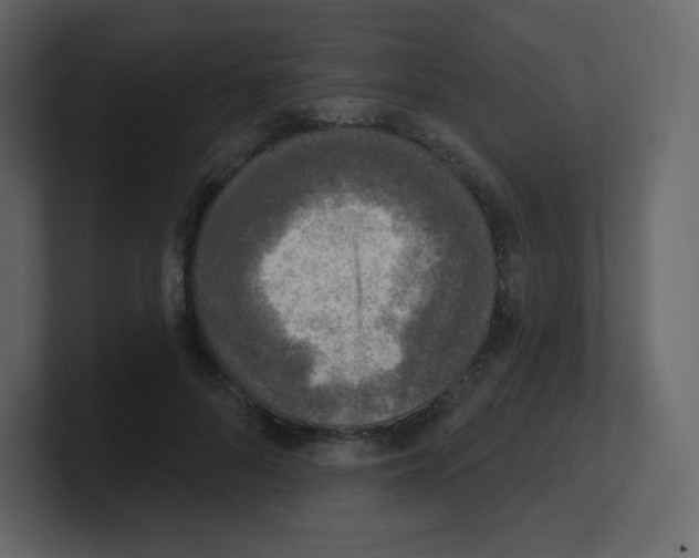 X0000100500696200807111143