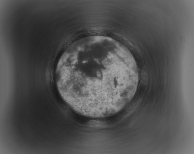 X0000100500699200807111143