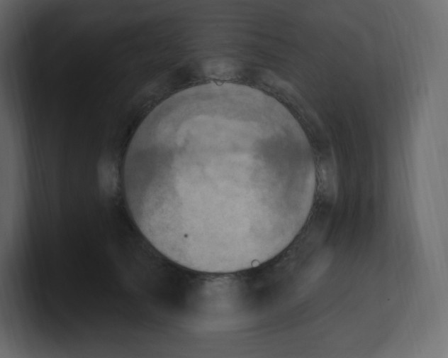 X0000100500705200807111143