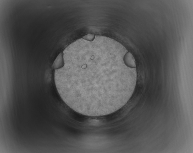 X0000100500706200807111143