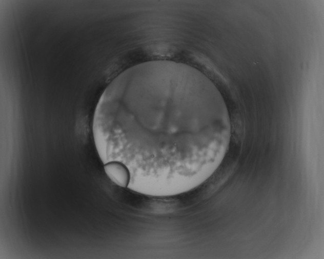 X0000100500707200807111143