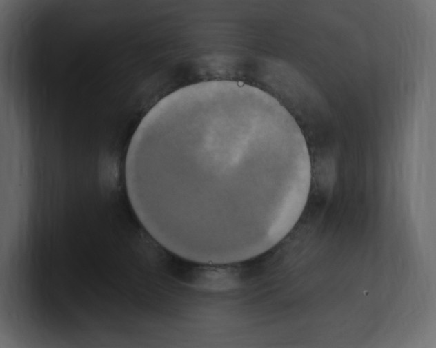 X0000100500709200807111143