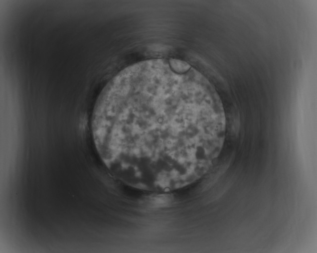 X0000100500711200807111143