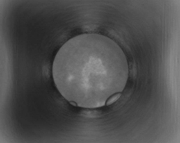 X0000100500712200807111143