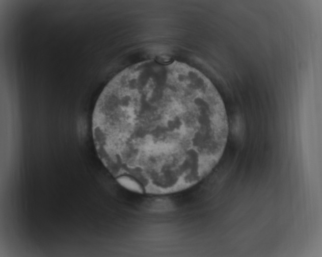 X0000100500715200807111143