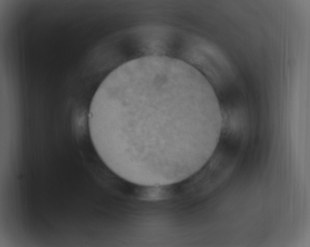 X0000100500717200807111143