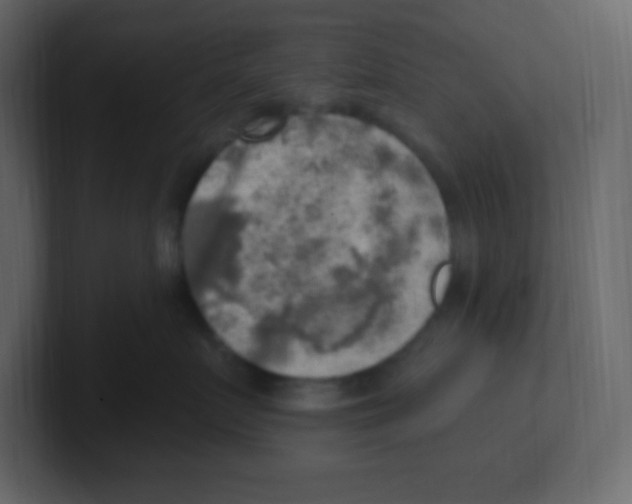 X0000100500719200807111143