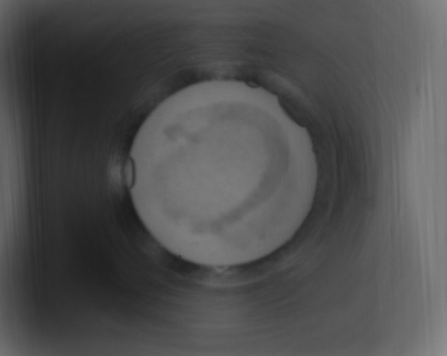 X0000100500720200807111143