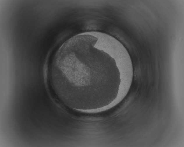 X0000100500722200807111142