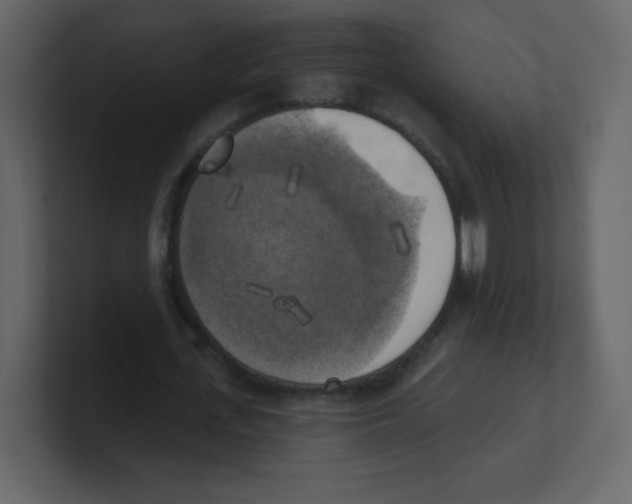 X0000100500723200807111142
