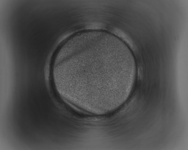 X0000100500724200807111142