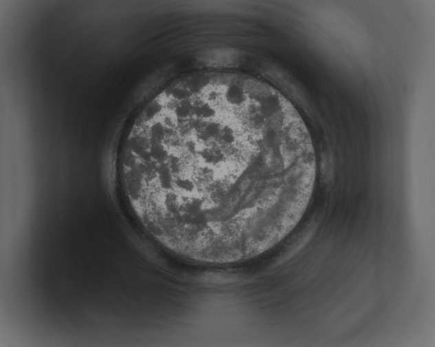 X0000100500725200807111142