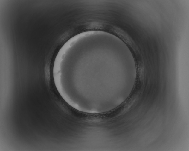 X0000100500729200807111142