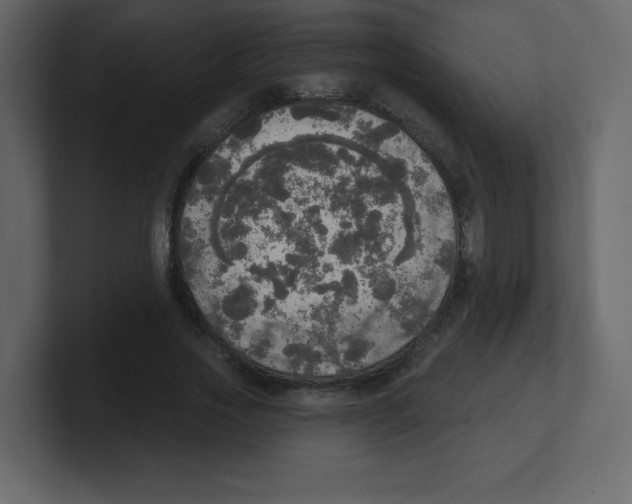 X0000100500733200807111142