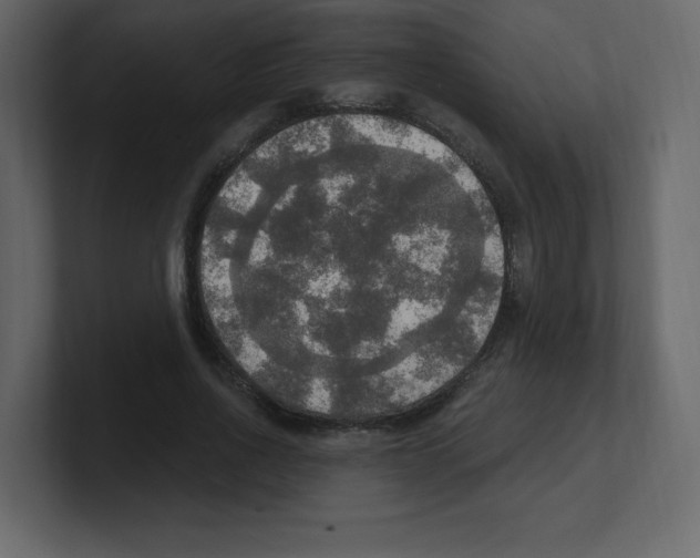 X0000100500734200807111142