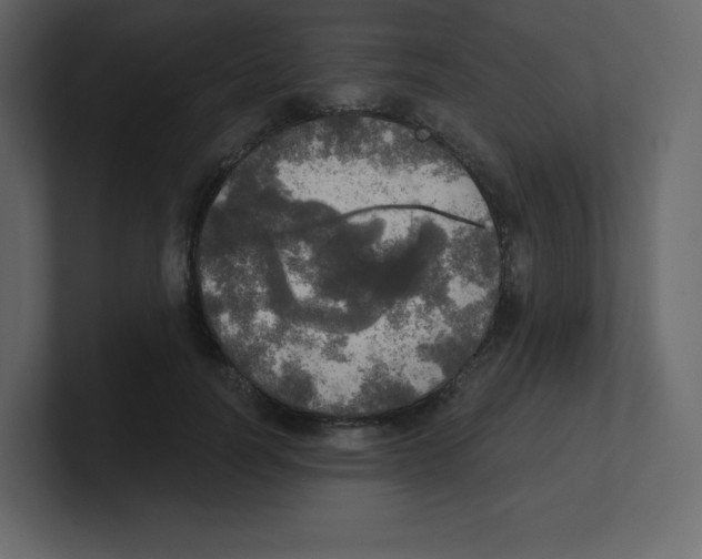 X0000100500746200807111143